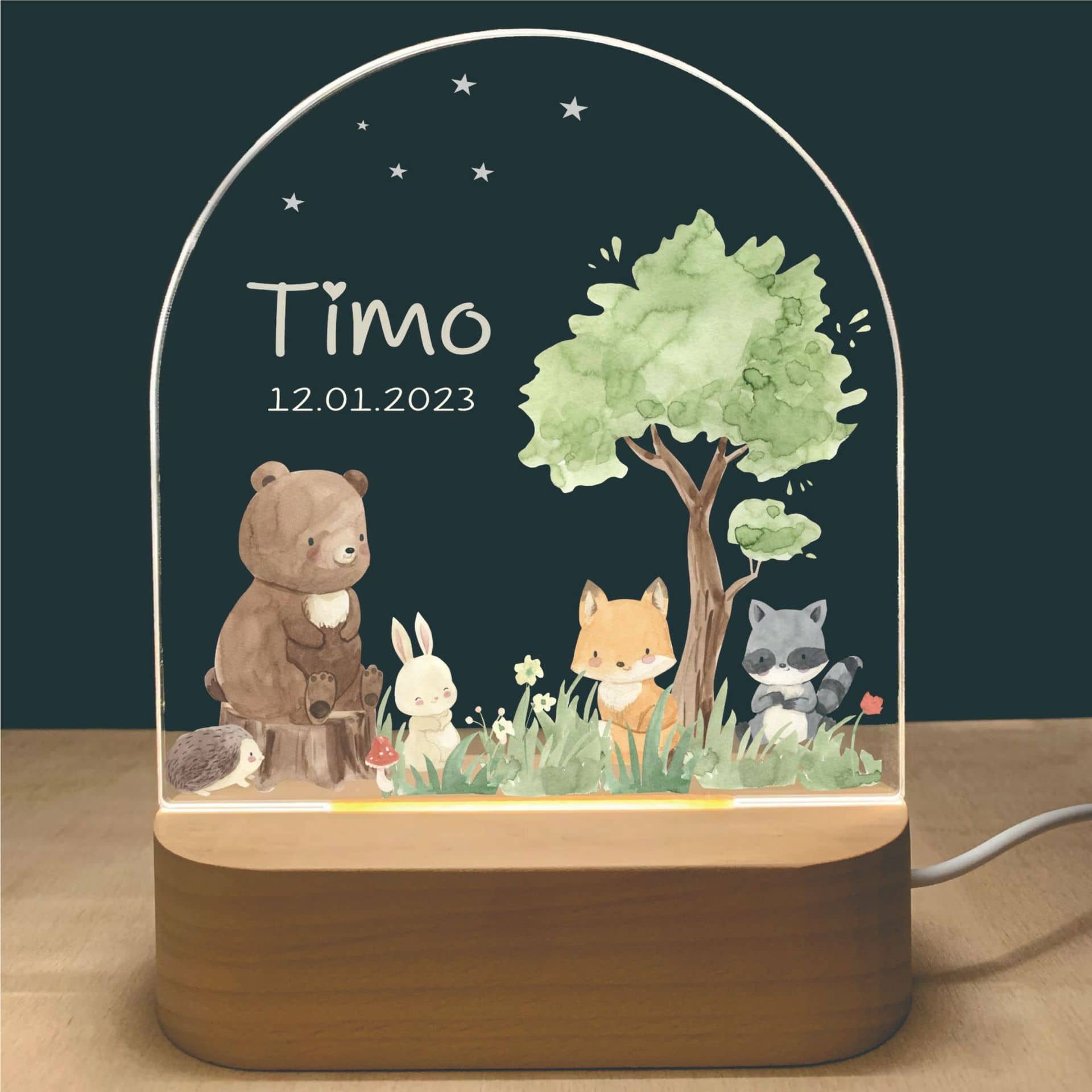 Personalized Cute Animals Night Light Baby's Room Decor